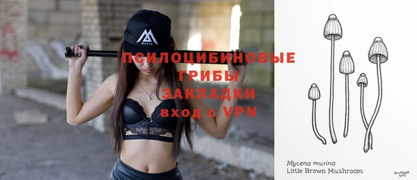 а пвп мука Кукмор