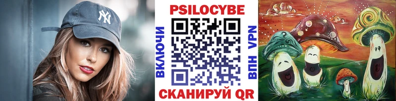 маркетплейс клад  Майский  Галлюциногенные грибы MAGIC MUSHROOMS 