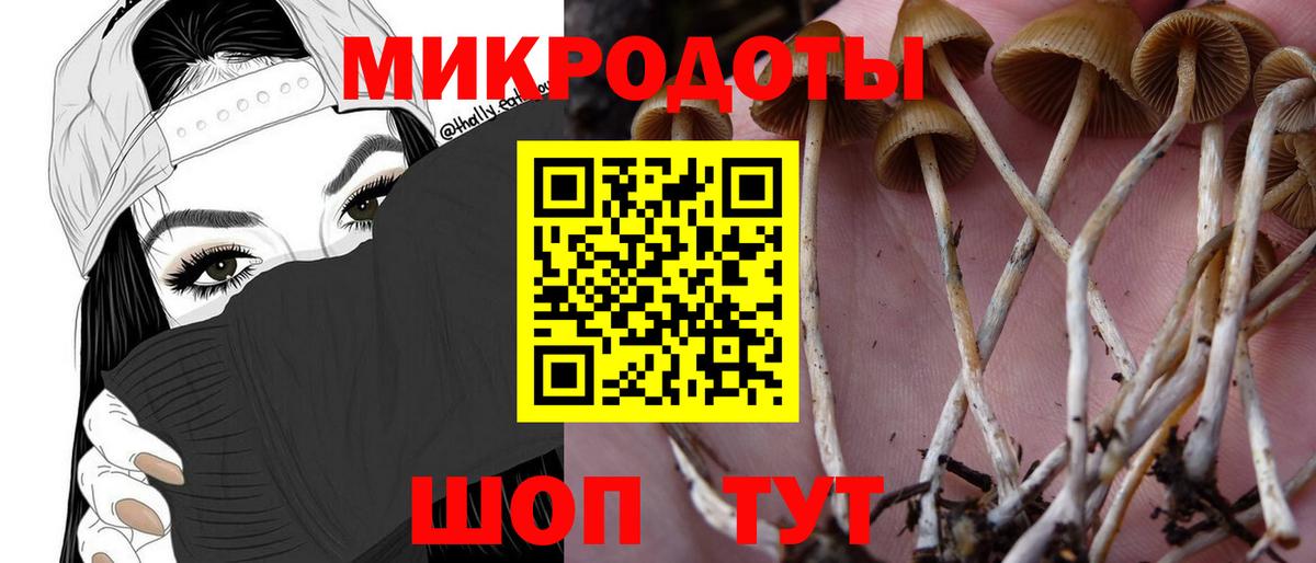 Псилоцибиновые грибы прущие грибы Майский