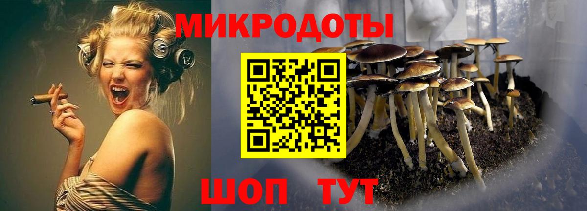 Галлюциногенные грибы Cubensis  Вход с VPN  Майский 