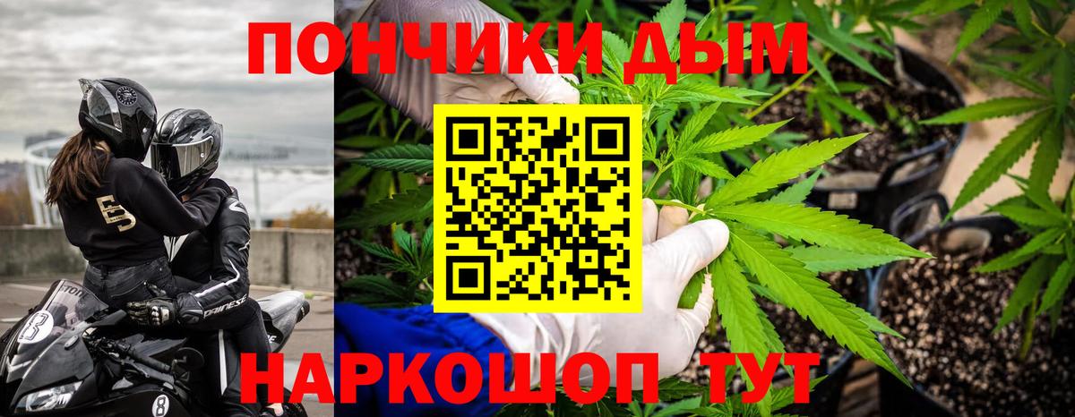 Каннабис семена  Каннабис OG Kush  Майский  Вход с VPN  МАРИХУАНА THC 21%  МАРИХУАНА LSD WEED 